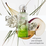 Hermes Jardinen Sur Le Toit Eau de Toilette for Men