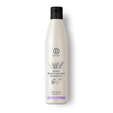 Brillare Professional Heavy Moisturising Shampoo with Wheat Protein