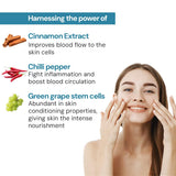 Raaga Professional Anti-Acne Stemcell Facial Kit with Green Tea, Cinnamon, Liquorice and Neem Extracts, for Glowing and Radiant Skin, 61g