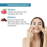Raaga Professional Stem Cells Infused Fairness Facial Kit | Mulberry, Alp Rose Stem Cells | Reduces Dark Spots | 6 Step Facial Kit for All Skin Types (61 gm)