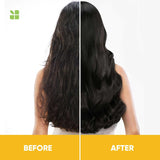 Biolage Smoothproof Professional 3-Step Regime Used in Salons | Shampoo + Conditioner + Serum for Frizz-Free Hair for up to 72 HRS | With Camellia Flowers | No Added Parabens (200ml + 98g + 100 ml)