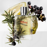 HERMÈS Terre d’Hermès Eau Givrée Eau de Parfum for Men