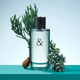 Tiffany & Co. Love Eau de Toilette for Men