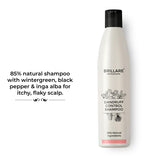Brillare Professional Shampoo Dandruff Control (300ml)