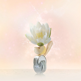 Bvlgari Omnia Crystalline Eau de Toilette for Women