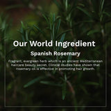 PILGRIM Spanish Rosemary & Biotin Hair Growth Oil 100ml