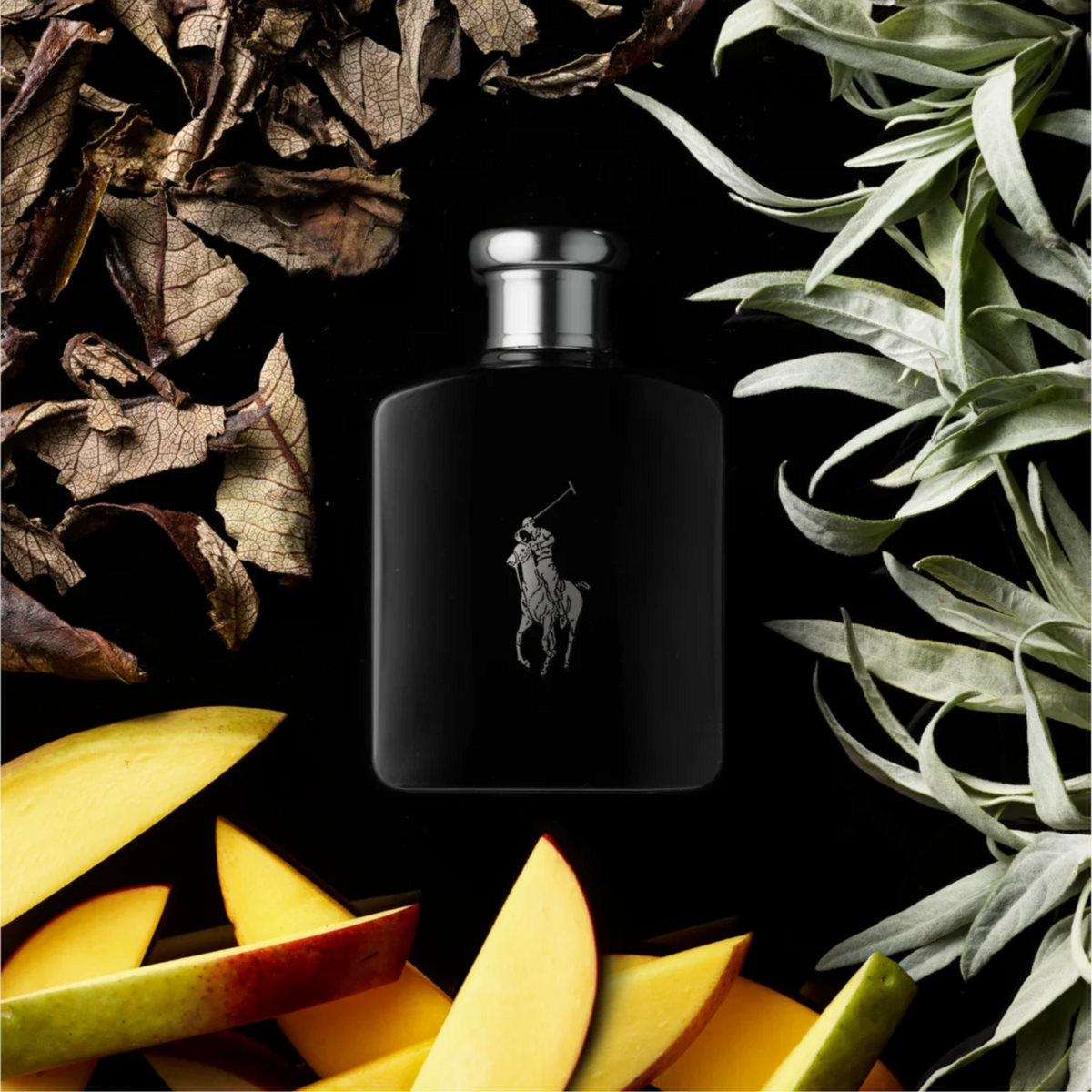 Ralph Lauren Polo Black Eau de Toilette for Men