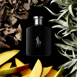 Ralph Lauren Polo Black Eau de Toilette for Men