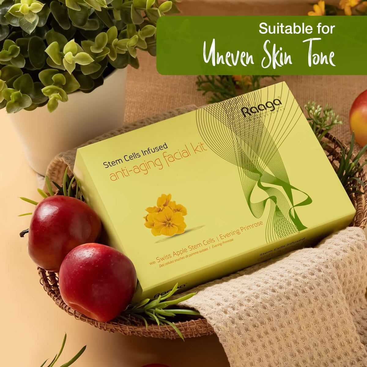 Raaga Professional Anti Aging Facial Kit 6 Steps