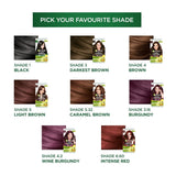 Garnier Color Naturals Creme Riche 3.16 Burgundy