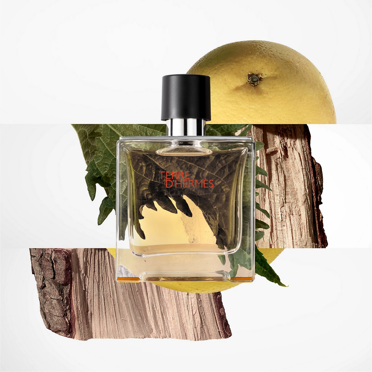 Hermes Terre de Hermes Pure Parfum for Men