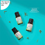 PILGRIM Spanish Rosemary Essential Oil 10ml