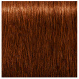 Schwarzkopf Igora Royal Hair Color