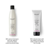 Brillare Professional Hair Fall Control/Anti Hair Fall Natural Shampoo and Mask Combo