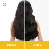 Biolage Smoothproof Shampoo, 1000ml | For Frizzy Hair | Cleanses, Smooths & Controls Frizz | With Camellia Flower | Natural & Vegan