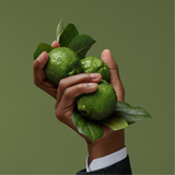 Ermenegildo Zegna Italian Bergamot Eau de Parfum for Men