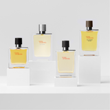 Hermes Terre de Hermes Pure Parfum for Men