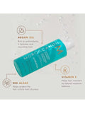 Moroccanoil Spring Hydrating Kit - Shampoo + Conditioner + Body Lotion + Leave-In