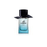 Burberry Mr. Burberry Element Eau de Toilette for Men