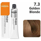 Loreal Professional Majirel Hair Color 50G 7.3 Golden Blonde+ Oxidant 1000Ml Combo