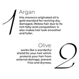 Brillare Argan Hair Oil For Dry & Frizzy Hair (100ml)