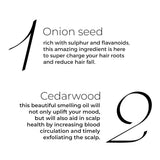 Brillare Onion Hair Oil for Hair Fall Reduction (100ml)