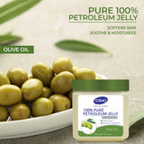 Olive Oil 100% Pure Petroleum Jelly