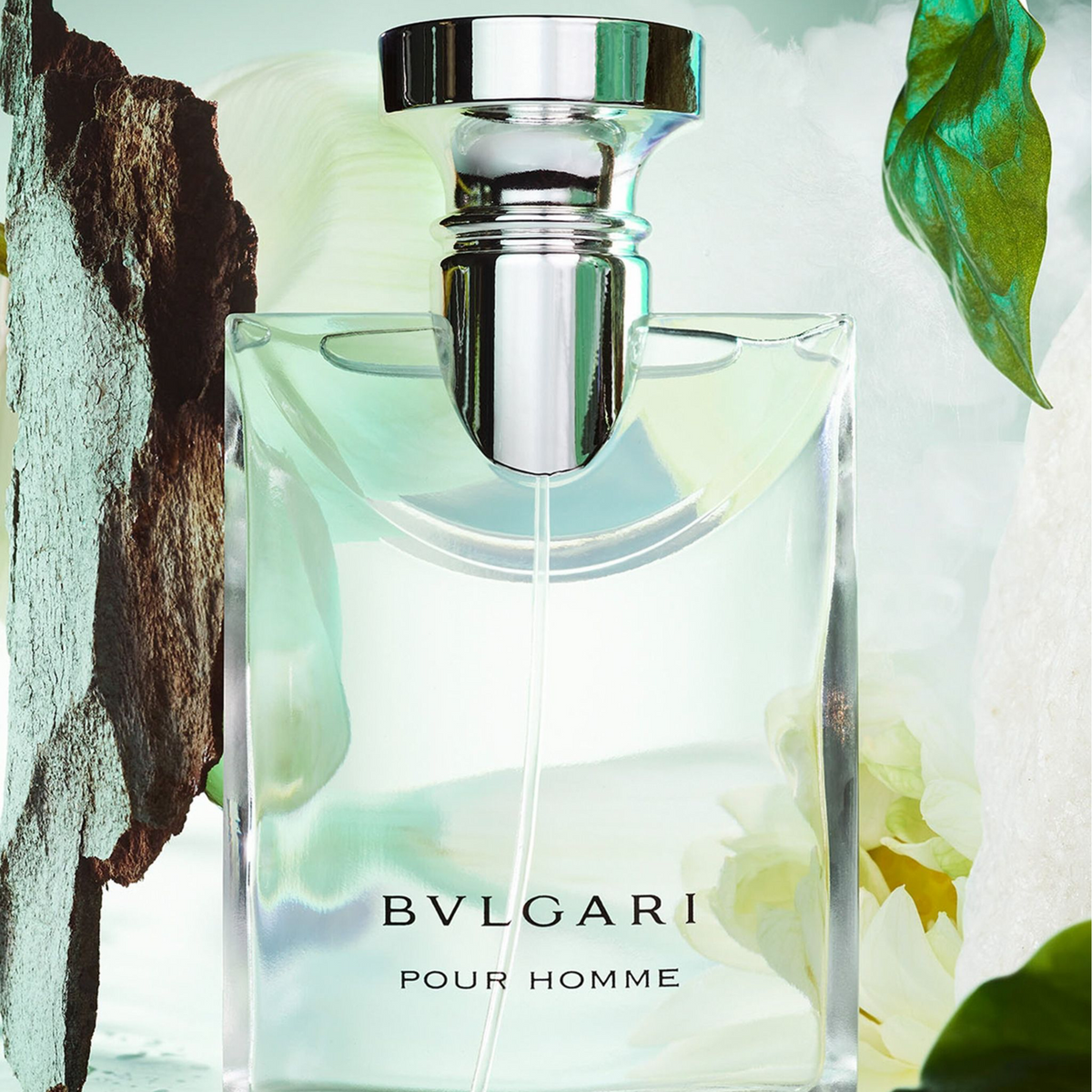 Bvlgari Pour Homme Eau de Toilette for Men