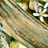 Bvlgari Wood Neroli Eau de Parfum for Men